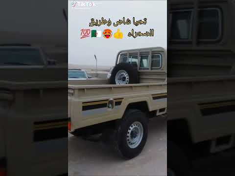 تحيا شاص  ولايه