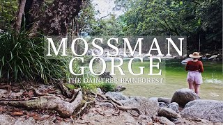 Mosman Gorge A Journey into Australia's Ancient Daintree Rainforest