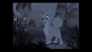 Came  closer -ANIMASH MEP-part 2