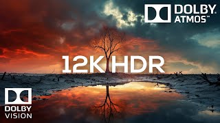 Hidden Beauty: Mesmerizing 12K HDR 60FPS with Dolby Vision & Atmos