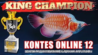 THE KING ! best of the best ! Kontes Online 12 Indo Dragon® Arwana class F ( KING / SHORT BODY )