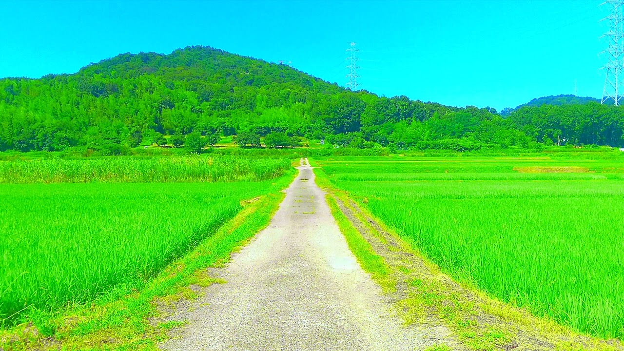 Tonton 残夏残響 / Summer Piano di YouTube