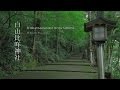 白山比咩神社 4K - Shirayama Hime Jinja Shrine -