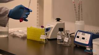 dGH Cell Culture Protocol
