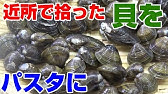 チャンス しじみ