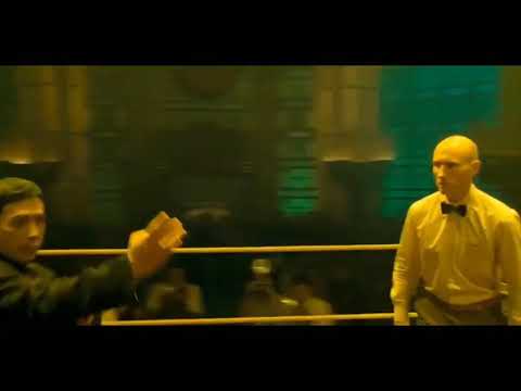 donnie yen vs