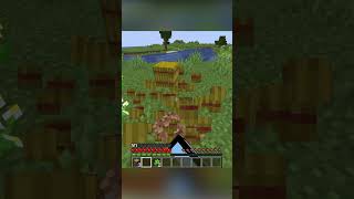 Minecraft but crafting is randomized