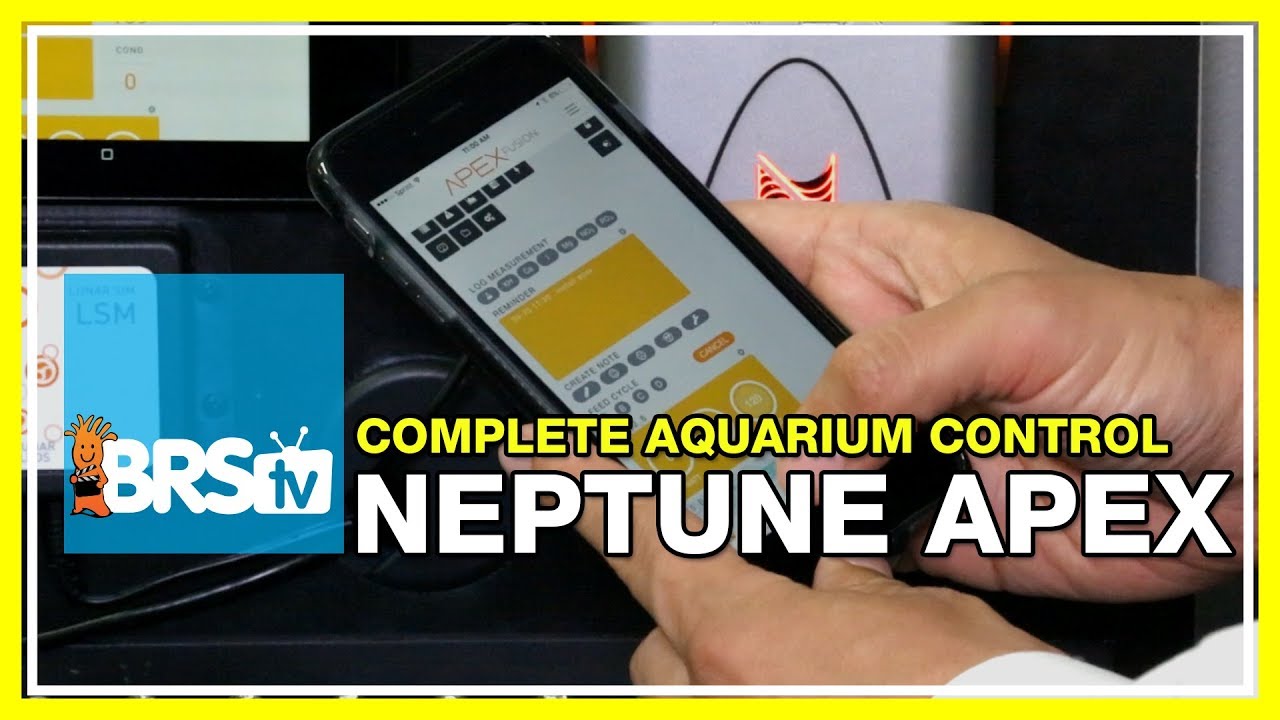 Program Pump Outlet & OSC Function EP 15: Apex Controllers from Neptune Systems - YouTube