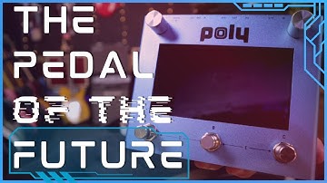 Is this the Most Advanced Pedal out there? - Poly Effects Beebo