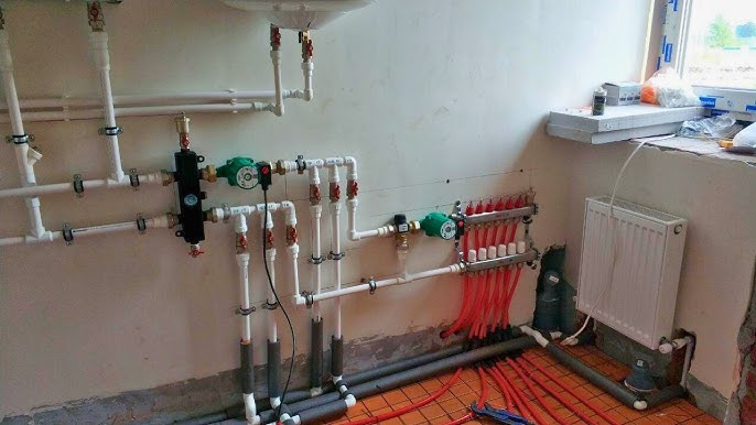 Шәует пен жағармайдың айырмашылығы