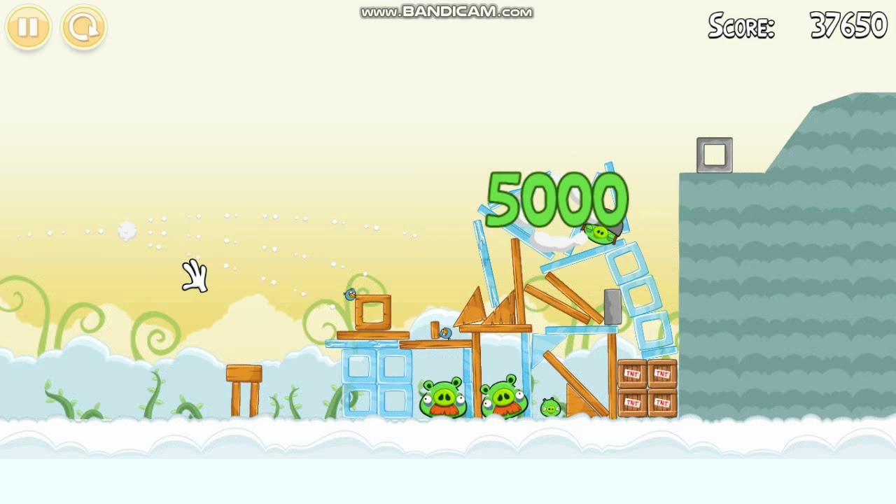 Vandull. Таксономия в анатомии. Above level. Harmony grove. Level музыка.