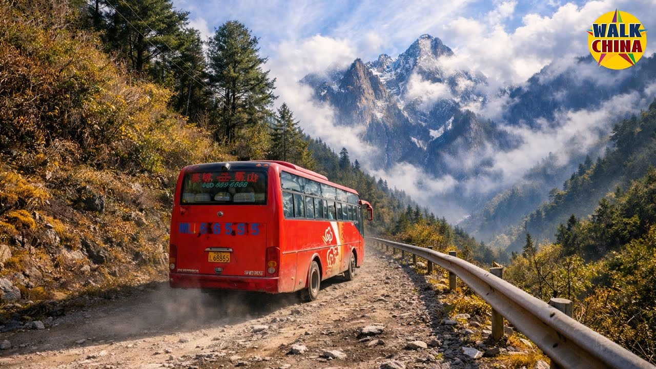 ‌Без карты: Водительство по 