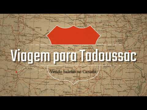 Vídeo: Melhores coisas para fazer em Tadoussac, Quebec