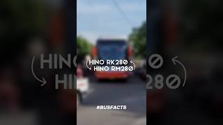 APA BEDANYA? Hino RM280 VS Hino RK280 #bis #busmania #shorts