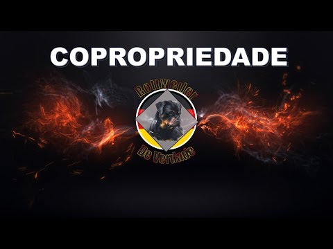 Vídeo: O que você quer dizer com copropriedade?