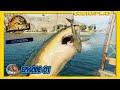 Le megalodon enfin   park managers collection pack jurassic world evolution 2  royleviking