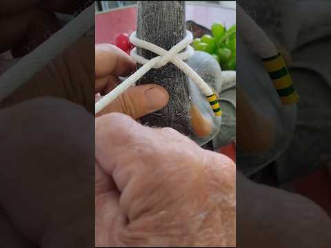 Мастер-класс по завязыванию