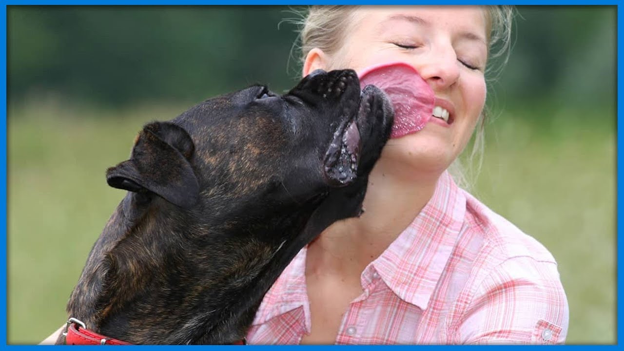 Girls Doing Dogs