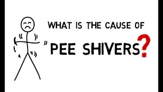 Pee Shivers Why Do They Happen Explanations and Theories