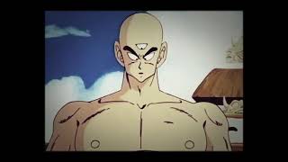 Master Roshi Saves Chiaotzu