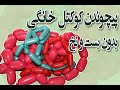 آموزش فشرده سازی سوسیس کوکتل خانگی به راحتترین و ساده ترین روش 
