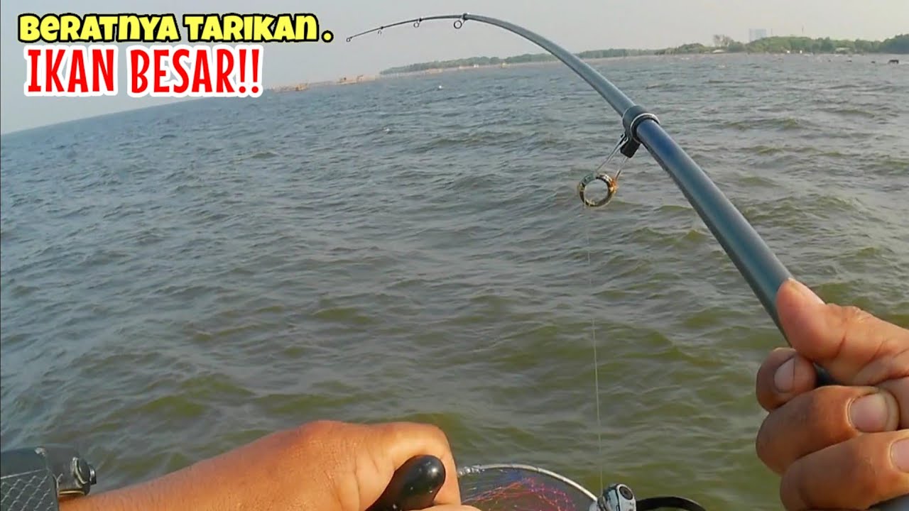 luar biasa!!! sambaran ikan barakuda babon mancing bagan ,Pertamina bagan Barokah