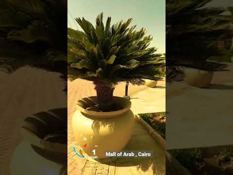 مول العرب في القاهرة     