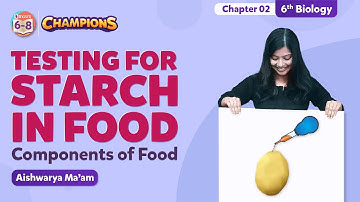 Testing for Starch in Food - Components of Food Class 6 Science Concepts | BYJU