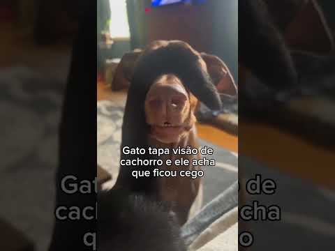 e serio isso? #reels #humor #comédia #engraçado #viral #tops #explorar #fyp #furyou #funny #público