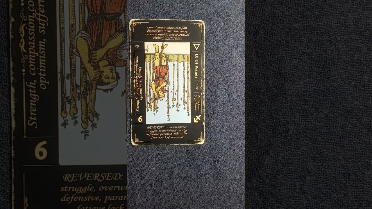 Ophiuchus August 9 2025 Daily Tarot Card SaturdayTarot Augustdailytarot