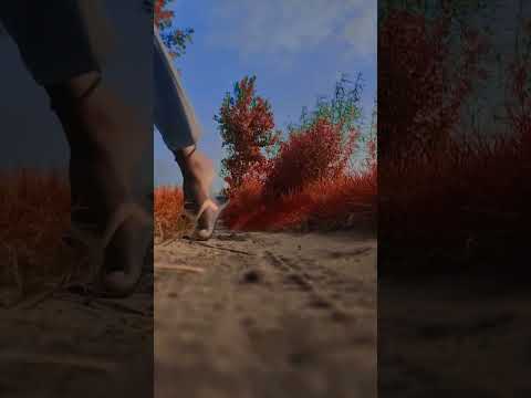 May New Video Subscribe Like Me Dase Boy Gama Ka Viral Video Youtube Tanku Farand