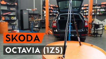 Hoe een gasveer achterklep vervangen op een OCTAVIA (1Z5) [AUTODOC-TUTORIAL]