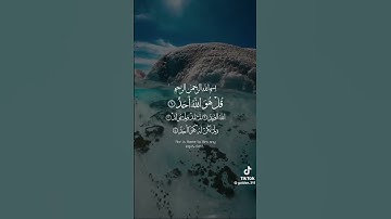 سورة الاخلاص بصوت الشيخ ماهر المعيقلي القران الكريم