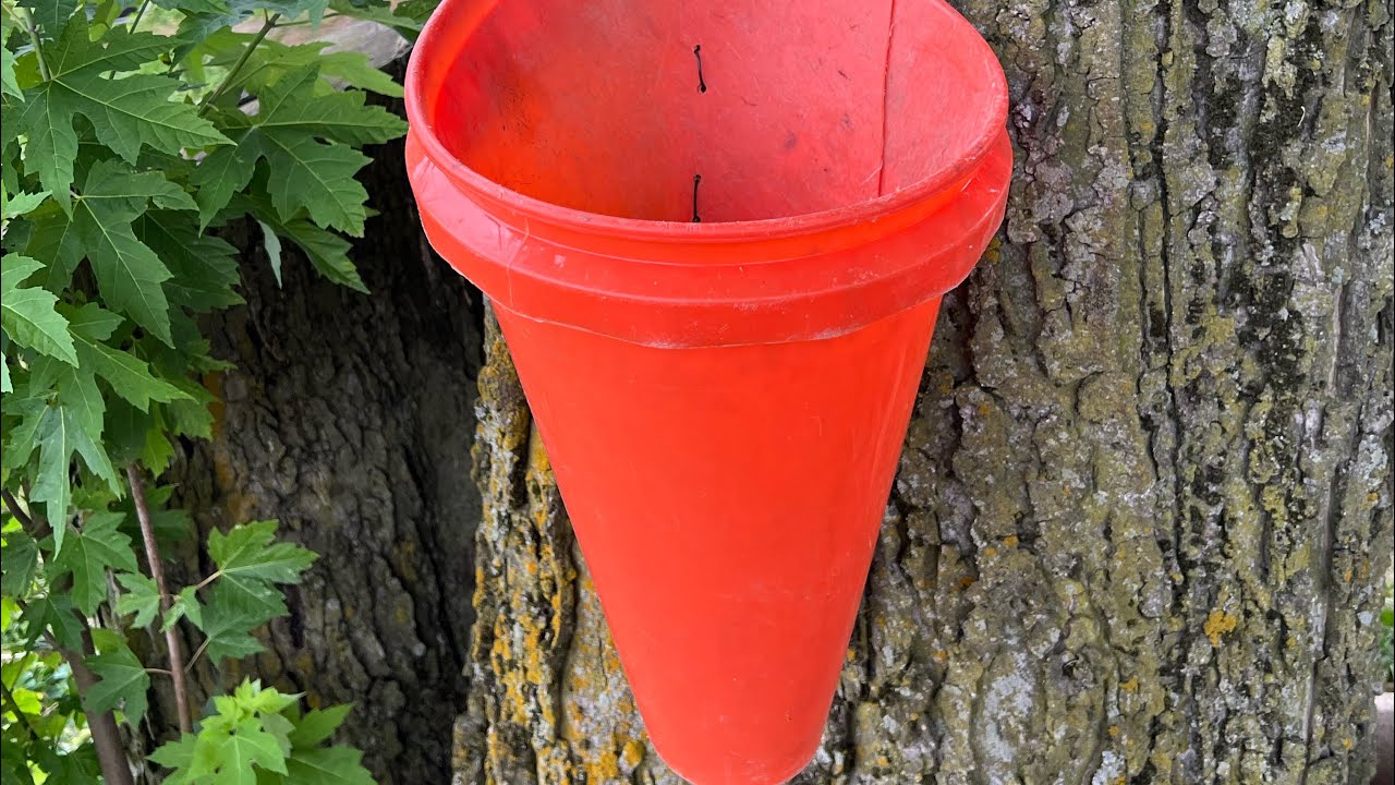 Diy Chicken Hugging Cone YouTube