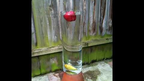 apples float _ float and sink.MOV