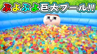 ぷよぷよボール８万個！ぐち男、巨大ぷよぷよプールつくってみた！！