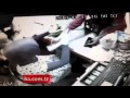 Dikkatli kasiyer dolandırıcılığı son anda önledi