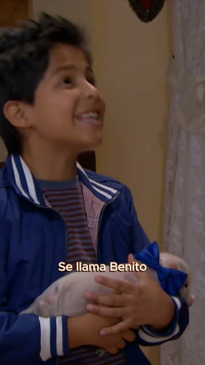 Te dejaron en visto ✅ #hastaelfindelmundo #tlnovelas