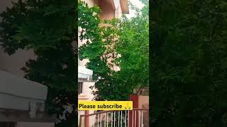 jab hum jama honge jaane Kahan honge #oldisgold #Bollywood #YouTube short video π₯°π₯°