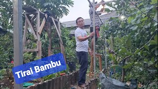 Tirai Bambu - Taufik Umar