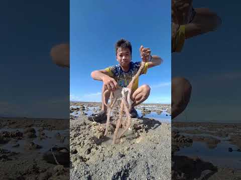 80smusic Nostalgia Music Duet Lovesong Beach Angakingawitaypagibig Classicsongs Fishing 