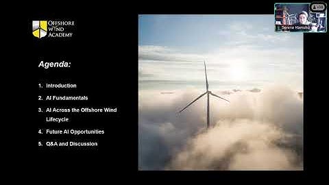 AI Applications in Offshore Wind Development and Operations (Learning from the Experts)