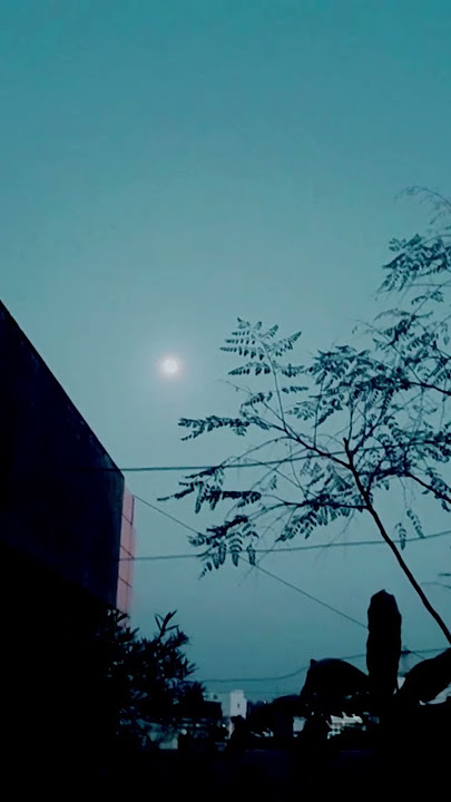 #moon #remix #reggae #cover #shorts