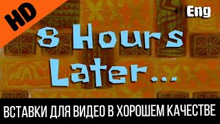 #1 8 Hours Later / Восемь 8 Часов Спустя | Spongebob Timecard | Вставка Для Видео | Video Insert