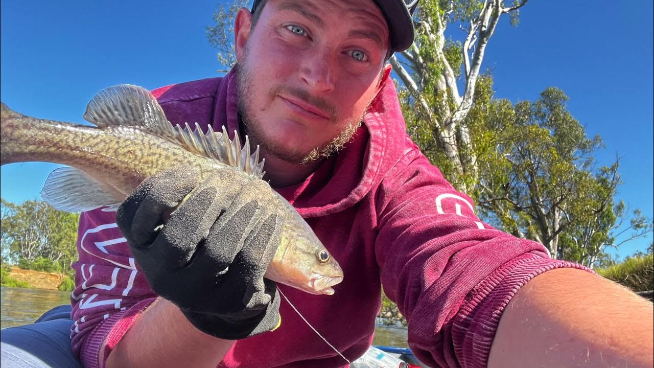 Cod Classic 2021 My fishing trip Cod fishing Murray river Murray Cod YouTube