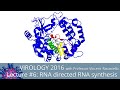 Virology Lectures 2016 #6: RNA Directed RNA Synthesis