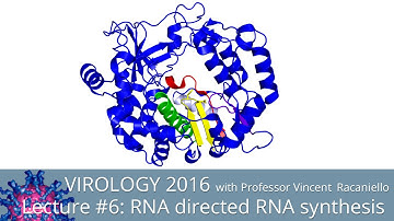 Virology Lectures 2016 #6: RNA Directed RNA Synthesis