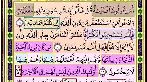النصف الاول من صفحة 223 من سورة هود الايات من (13_16) مكررة بصوت الشيخ محمود الحصري