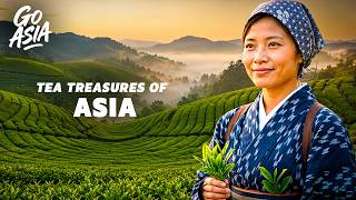 The Hidden Masters Behind the Worldβs Finest Tea | Food Documentary -AMP