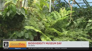Biodiversity Museum Day at UC Davis!